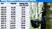 Why rubber prices have plunged